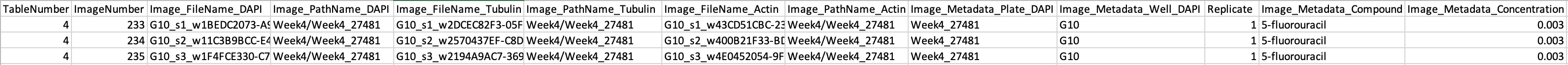 csv_table